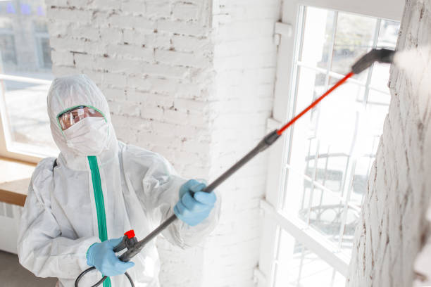 Best Residential Mold Inspection & Testing  in Lino Lakes, MN