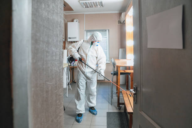 Best Crawl Space Mold Remediation  in Lino Lakes, MN