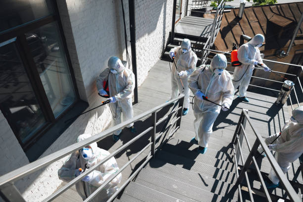 Best Asbestos and Lead Testing During Mold Inspection  in Lino Lakes, MN