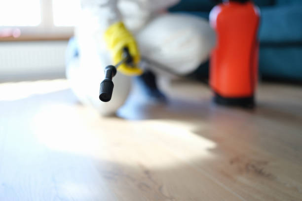 Best Biohazard Mold Removal  in Lino Lakes, MN