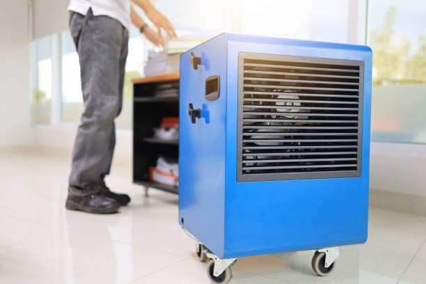 Best Commercial Mold Inspection  in Lino Lakes, MN