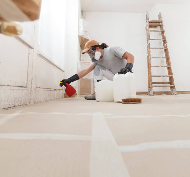 Best Water Damage & Mold Remediation  in Lino Lakes, MN