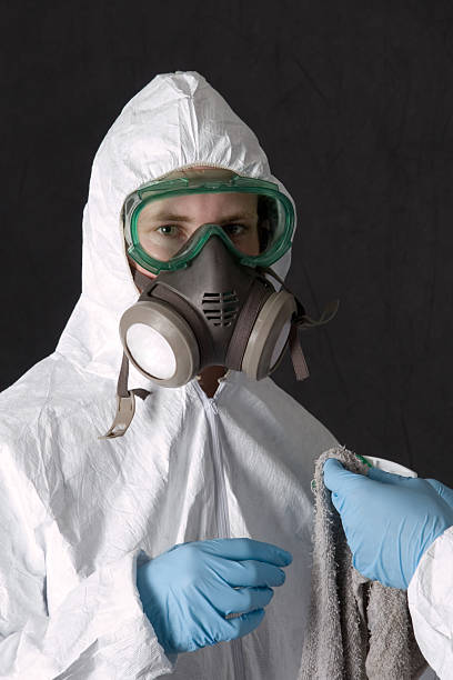 Best Dehumidification Services  in Lino Lakes, MN